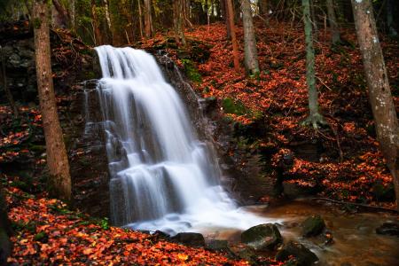 秋季瀑布4k超高清壁纸和背景图像