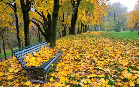 在秋季公园全高清壁纸和背景图像的长椅