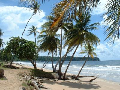 Mayaro海滩,特立尼达墙纸和背景