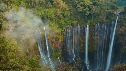 森林瀑布在印度尼西亚全高清壁纸和背景