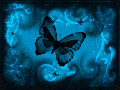 蓝色的蝴蝶壁纸和背景