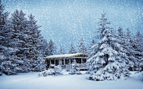 雪落在森林里的房子墙纸和背景