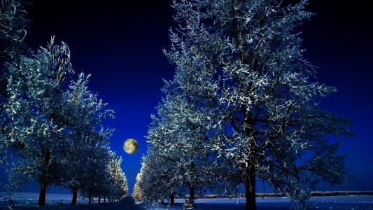 满月冬天的夜晚全高清壁纸和背景图像