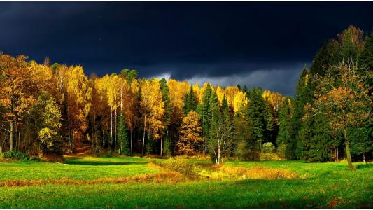 芬兰森林的乌云全高清壁纸和背景