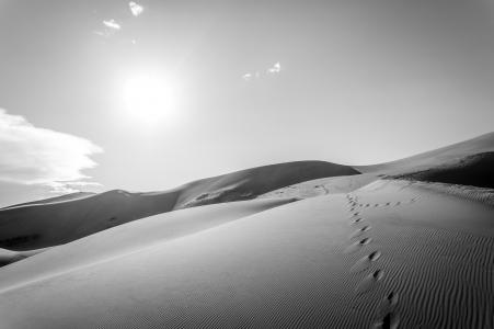 沙漠4k超高清壁纸和背景