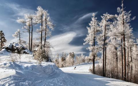 在冬季公园壁纸和背景中滑雪