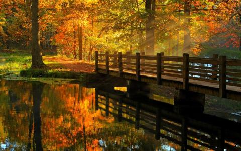 太阳照耀着秋季全高清壁纸和背景图像在桥上