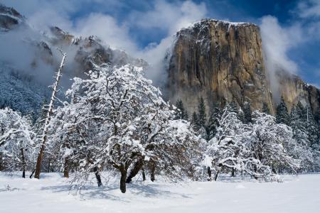 El Capitan,优胜美地国家公园全高清壁纸和背景