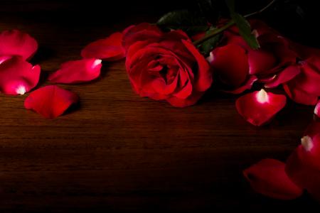 红玫瑰和玫瑰花瓣5k视网膜超高清壁纸和背景
