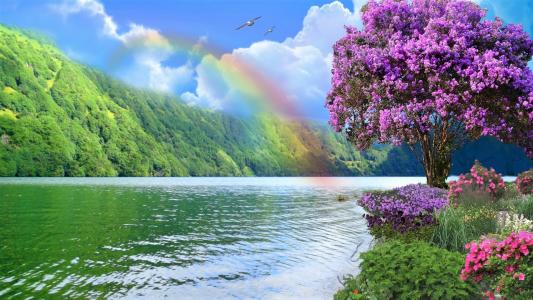 彩虹在春天湖全高清壁纸和背景