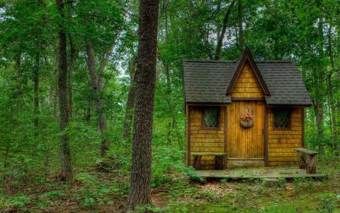 森林里的小房子全高清壁纸和背景图像