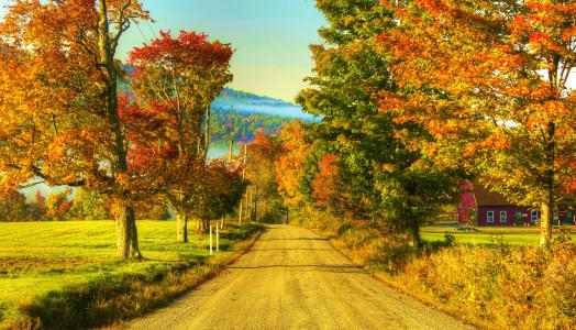 秋季4k超高清壁纸和背景图像的乡村道路