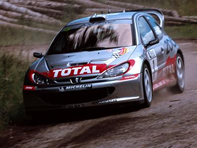 标致206 WRC'1999-2003全高清壁纸和背景图像