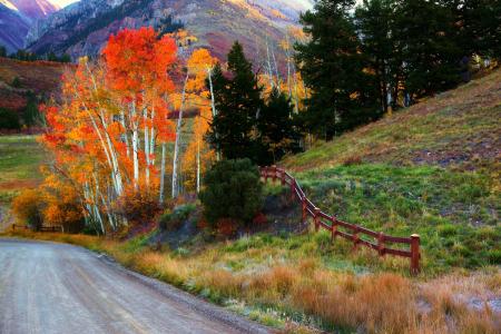 秋季道路全高清壁纸和背景