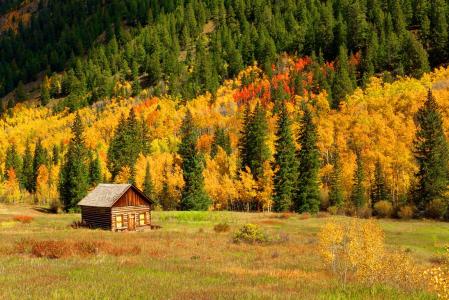 小木屋在秋季森林壁纸和背景图像