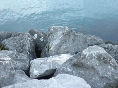 莱曼湖〜岩石4k超高清壁纸和背景