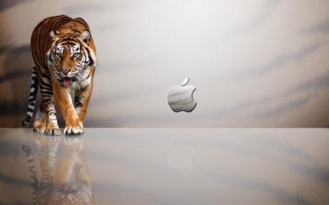 苹果豹Mac OS全高清壁纸和背景图片