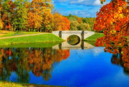 桥在秋天公园壁纸和背景图像