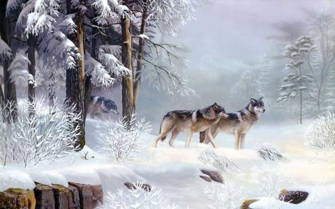 狼在冬季森林全高清壁纸和背景