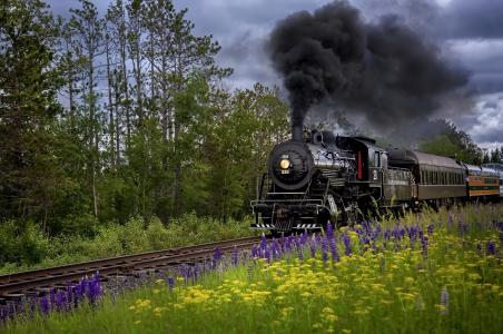 蒸汽火车穿过羽扇豆全高清壁纸和背景图像的领域