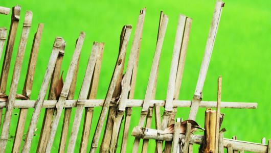 竹篱笆5k视网膜超高清壁纸和背景图片