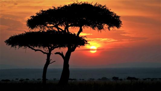 非洲日落全高清壁纸和背景