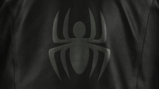 蜘蛛侠黑色全高清壁纸和背景