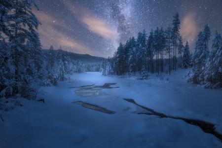 星夜在冬季森林全高清壁纸和背景