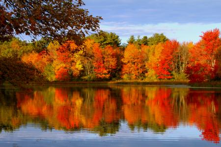 湖4k超高清壁纸和背景图像反映了秋天的树木