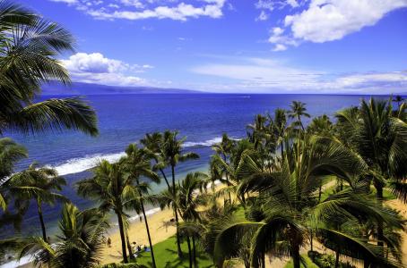 夏威夷全高清壁纸和背景