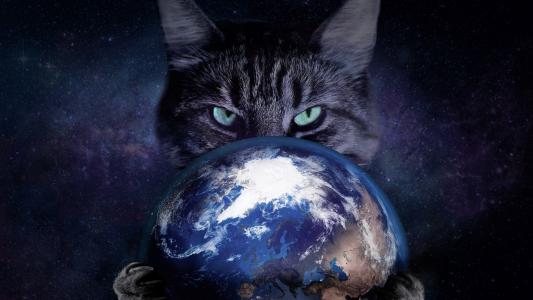 猫抱着行星地球全高清壁纸和背景