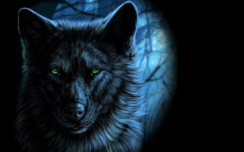 满月高清壁纸和背景的光芒的狼