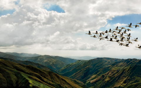 鸟儿飞过伊比利亚山脉全高清壁纸和背景图像