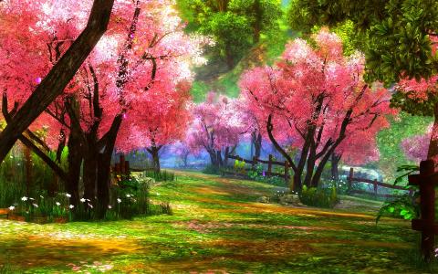 粉红色的树木,在春天公园全高清壁纸和背景