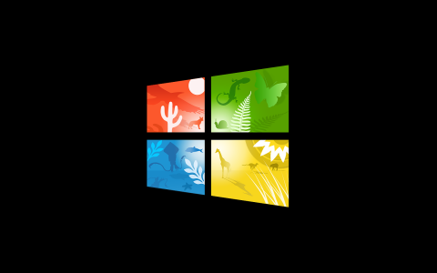 Windows 10壁纸和背景图像