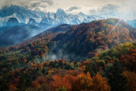 秋天在阿尔卑斯山全高清壁纸和背景