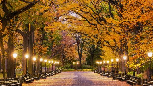 中央公园在秋季全高清壁纸和背景图像