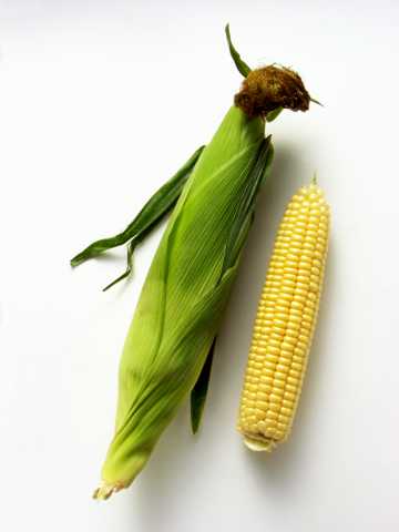 玉米图片下载