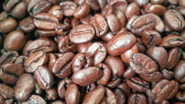 丰盈棕色咖啡豆图片