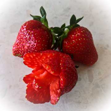 迷人绯红草莓图片