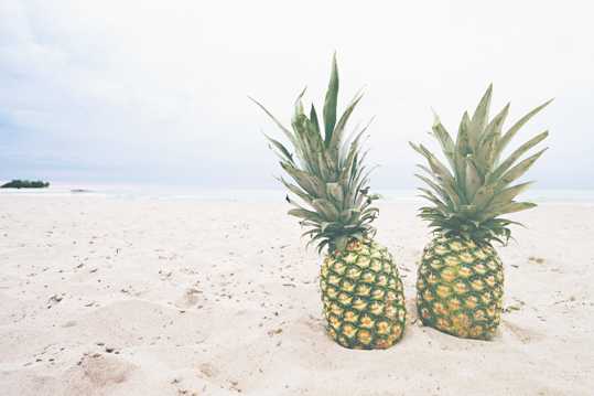 沙滩上的菠萝