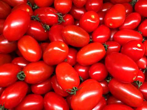 红西红柿背景图片