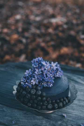 蓝莓水果花卉蛋糕图片