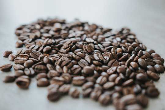 颗粒丰腴的咖啡豆图片