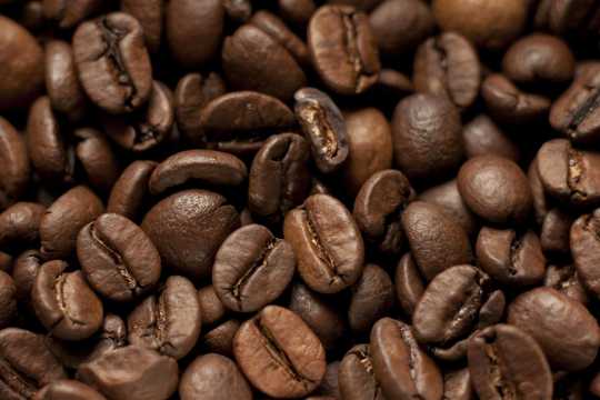 大粒棕色咖啡豆图片