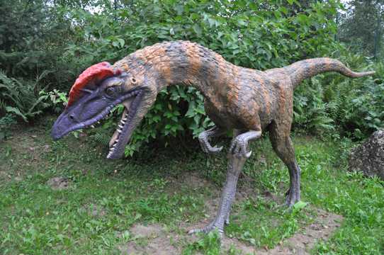 白垩纪时候的恐龙模型图片