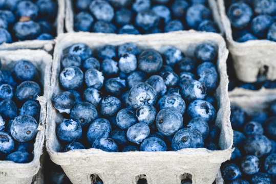圆溜溜的蓝莓图片