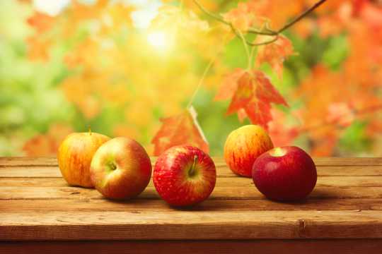 秋季的苹果图片