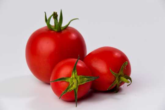 三颗红色番茄图片