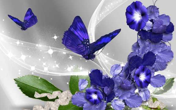 紫色花卉蝴蝶图片